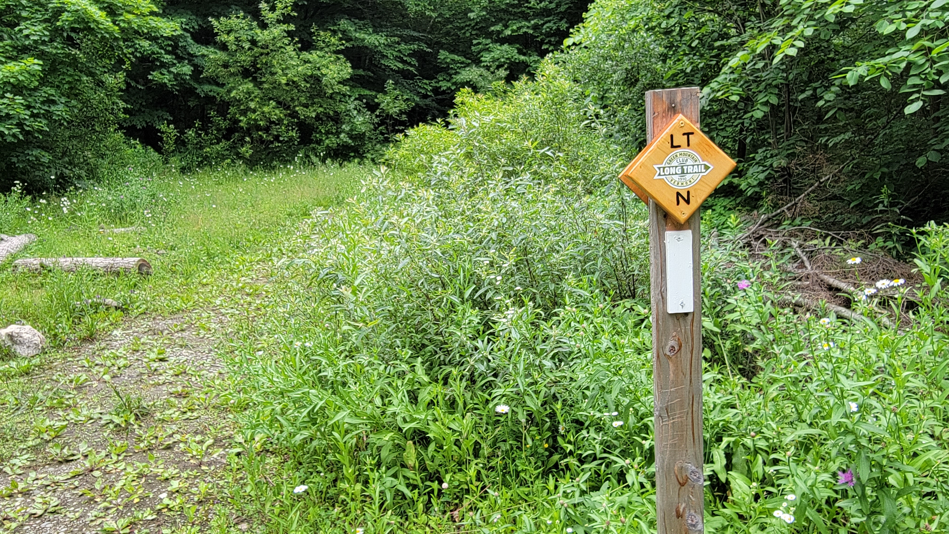Long Trail at Codding Hollow Road