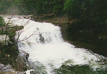 Bartlett Falls