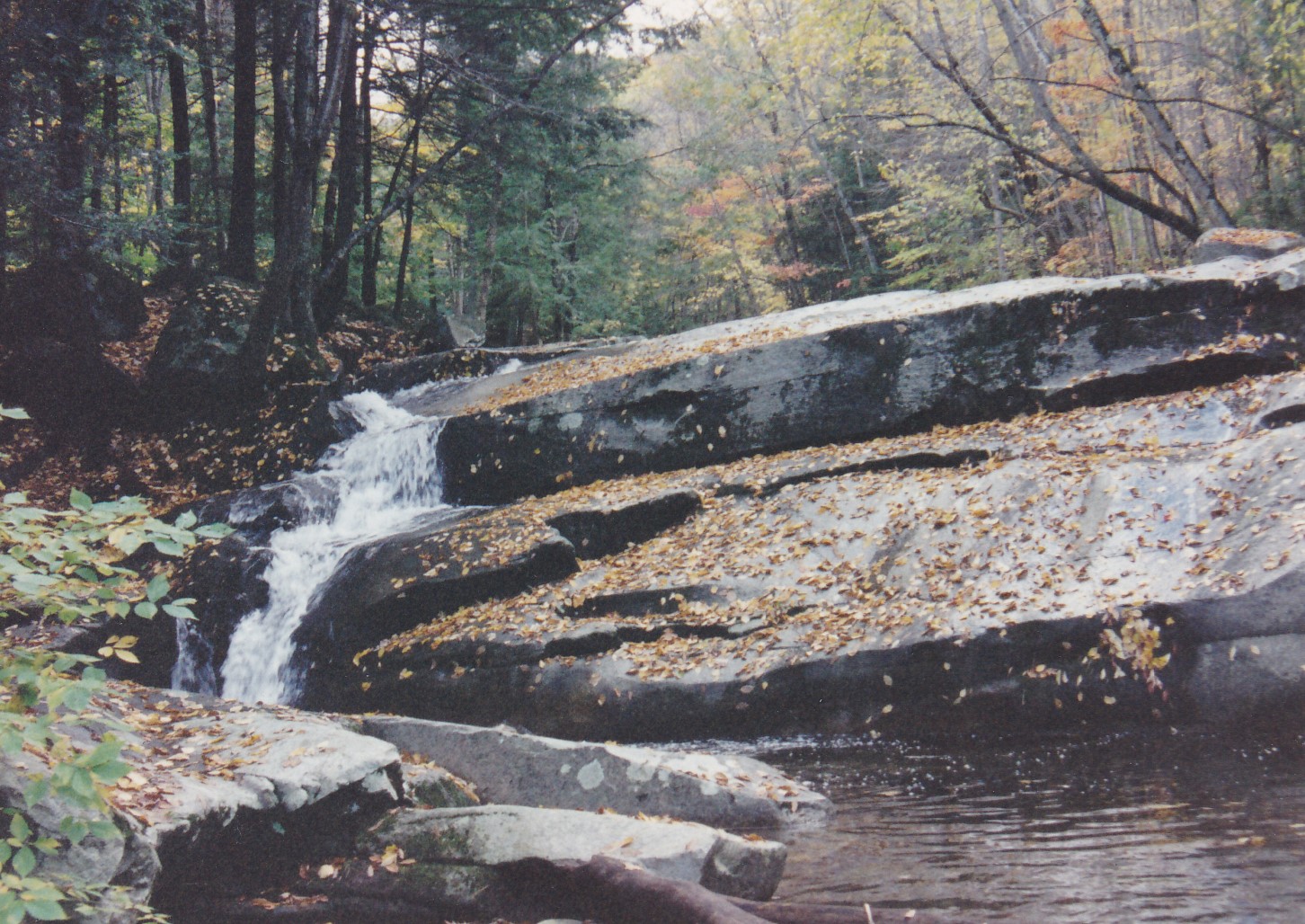 Old Jelly Mill Falls