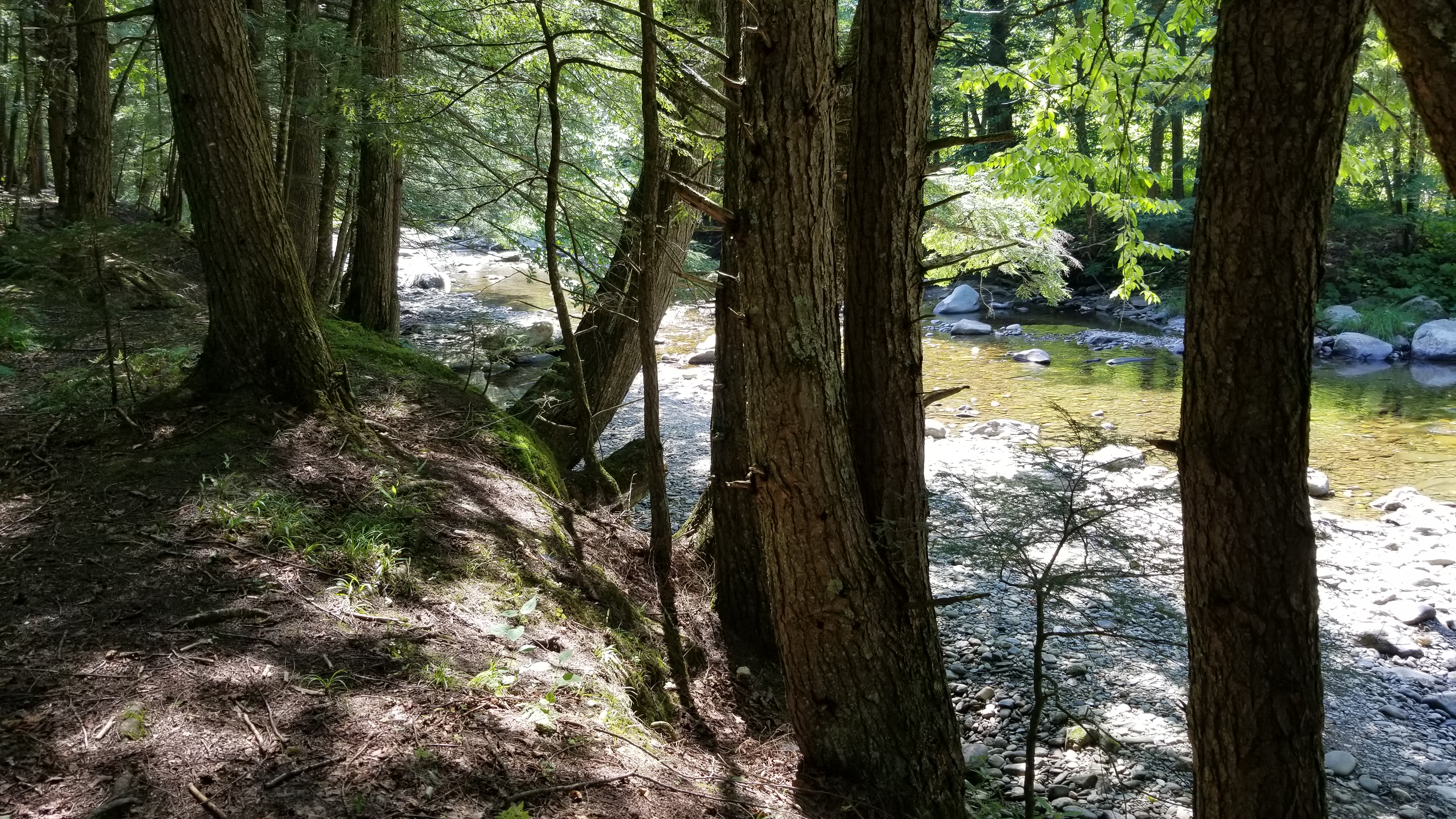 Brewster River Below Falls